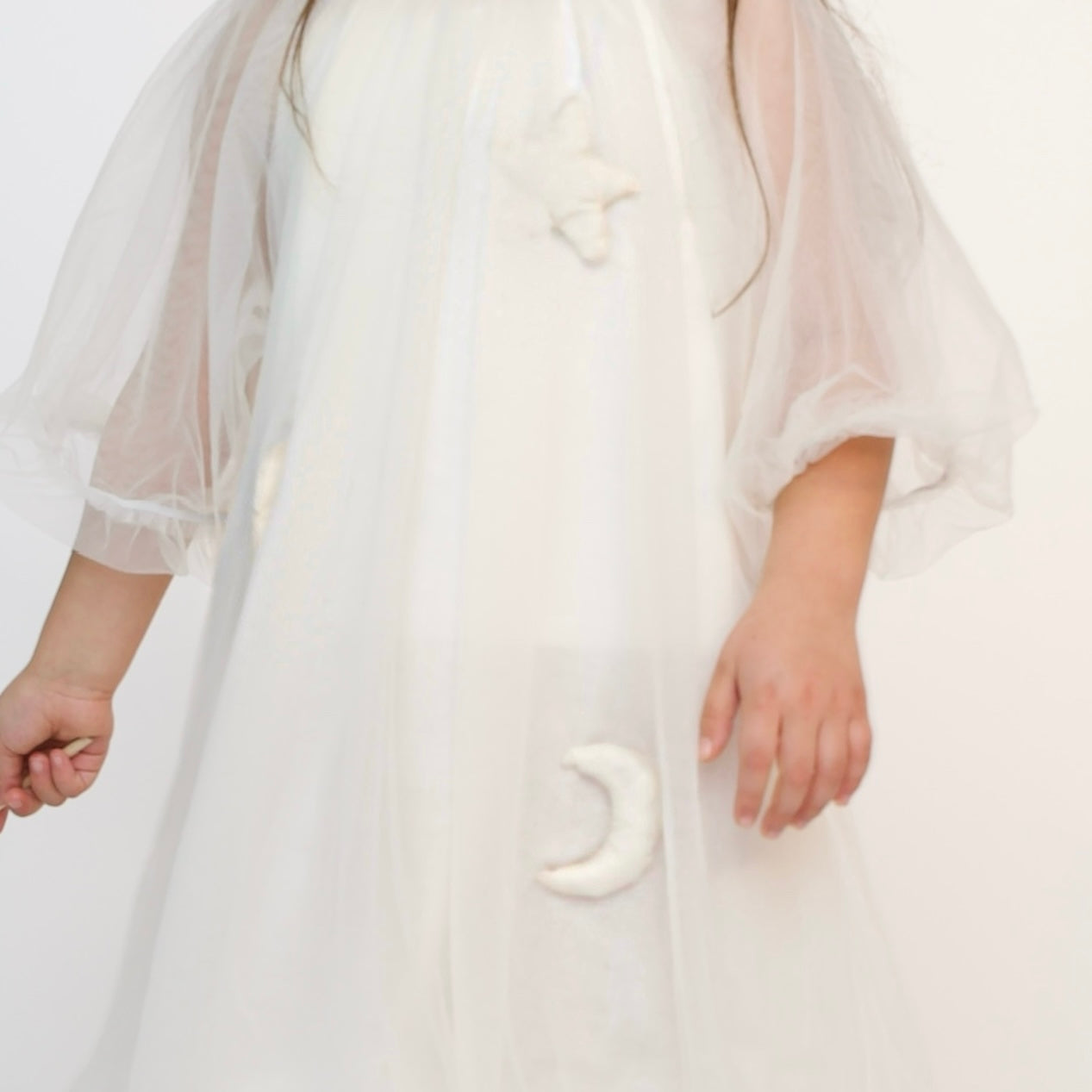 Luna Organza Sheer Dress